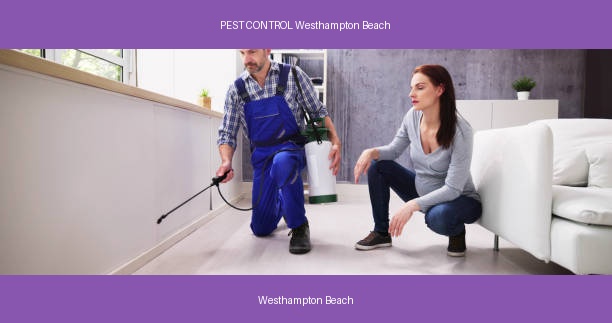 PEST CONTROL Westhampton Beach